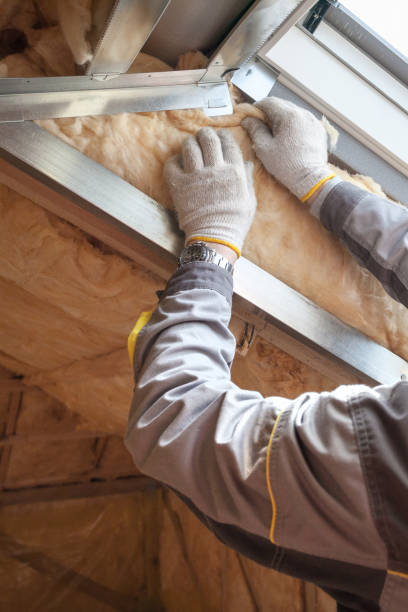 Best Local Insulation Services  in Pottsboro, TX